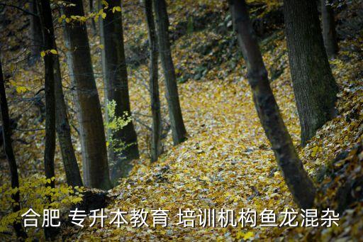 合肥 專升本教育 培訓(xùn)機構(gòu)魚龍混雜