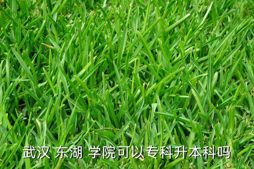 武漢 東湖 學(xué)院可以?？粕究茊? class=