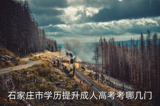 石家莊市學歷提升成人高考考哪幾門