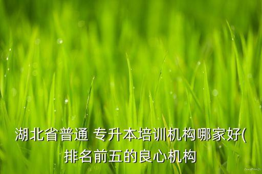 盤(pán)錦專升本培訓(xùn)班,盤(pán)錦職業(yè)技術(shù)學(xué)院可以專升本嗎