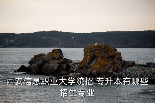 西安信息職業(yè)大學(xué)統(tǒng)招 專升本有哪些招生專業(yè)