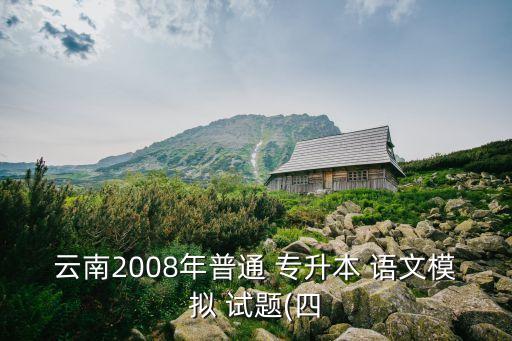 云南2008年普通 專升本 語文模擬 試題(四
