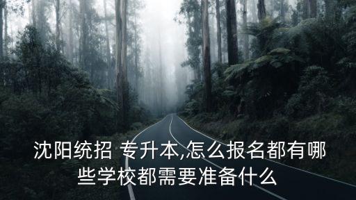 遼寧沈陽(yáng)專(zhuān)升本,沈陽(yáng)專(zhuān)升本可以報(bào)考哪些大學(xué)