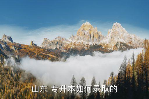 2018山在職專(zhuān)升本