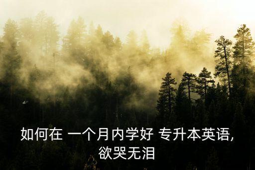 如何在 一個月內(nèi)學(xué)好 專升本英語,欲哭無淚
