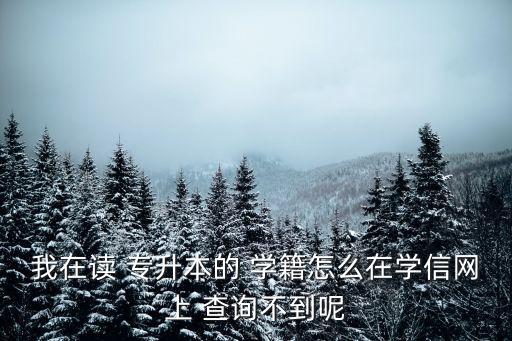 我在讀 專(zhuān)升本的 學(xué)籍怎么在學(xué)信網(wǎng)上 查詢不到呢