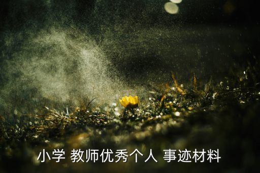 小學(xué) 教師優(yōu)秀個(gè)人 事跡材料