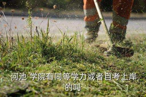  河池 學(xué)院有同等學(xué)力或者自考上岸的嗎