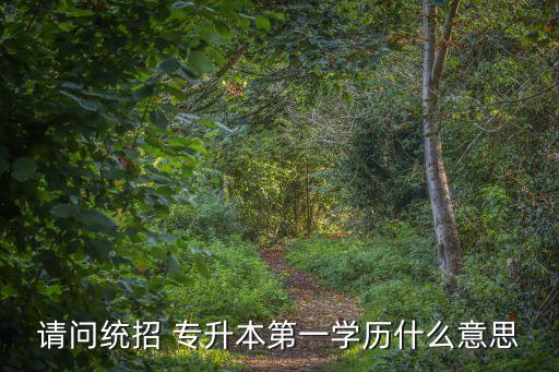 請問統(tǒng)招 專升本第一學(xué)歷什么意思