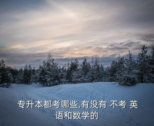  專升本都考哪些,有沒有 不考 英語和數(shù)學(xué)的