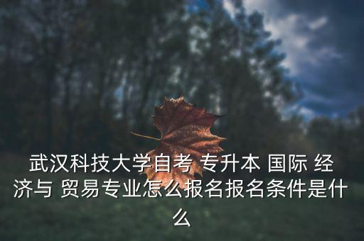 專升本國際經(jīng)濟(jì)與貿(mào)易