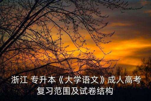  浙江 專升本《大學語文》成人高考復習范圍及試卷結構