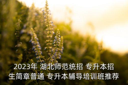 2023年 湖北師范統(tǒng)招 專升本招生簡(jiǎn)章普通 專升本輔導(dǎo)培訓(xùn)班推薦