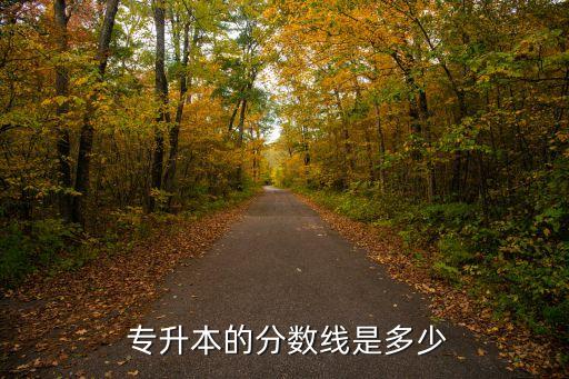  專(zhuān)升本的分?jǐn)?shù)線是多少
