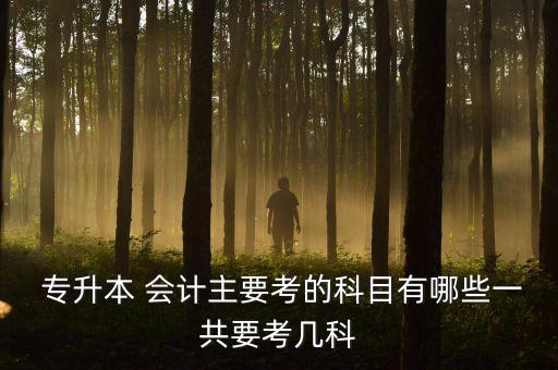 財務(wù)會計專升本