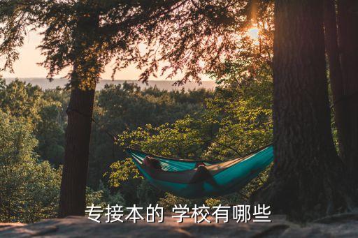 專接本的 學校有哪些