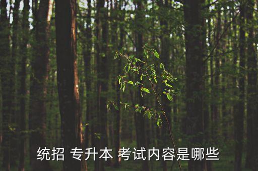 2012年陜西專升本考試語(yǔ)文,陜西專升本考試語(yǔ)文背誦