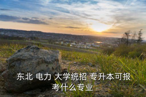  東北 電力 大學(xué)統(tǒng)招 專升本可報考什么專業(yè)
