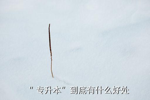 專升本戶口本 積分入戶,積分入戶的戶口本跟當?shù)氐囊粯訂? /></a><a href=
