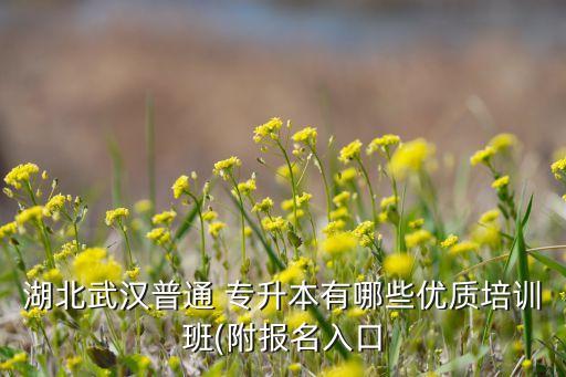 英語專升本成考輔導(dǎo)班,2022年成考專升本英語真題