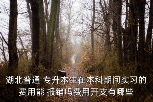 湖北普通 專(zhuān)升本生在本科期間實(shí)習(xí)的費(fèi)用能 報(bào)銷(xiāo)嗎費(fèi)用開(kāi)支有哪些