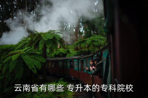 云南省有哪些 專(zhuān)升本的專(zhuān)科院校