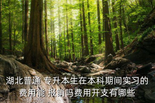 湖北普通 專升本生在本科期間實(shí)習(xí)的費(fèi)用能 報銷嗎費(fèi)用開支有哪些