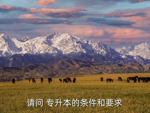 上海大專專升本簡(jiǎn)章,在上海讀大?？梢曰乩霞覍Ｉ締? /></a><a href=