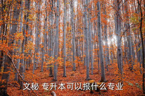  文秘 專(zhuān)升本可以報(bào)什么專(zhuān)業(yè)