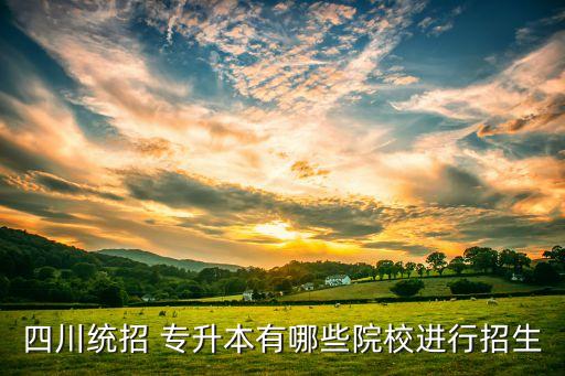 四川統(tǒng)招 專升本有哪些院校進行招生