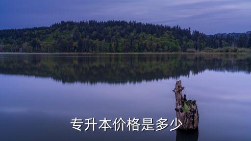 上海專升本學費,上海應(yīng)用技術(shù)大學專升本學費