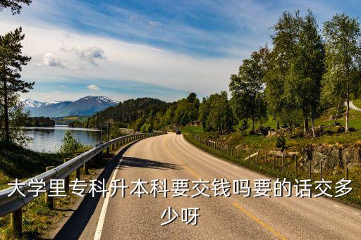 大學里?？粕究埔诲X嗎要的話交多少呀