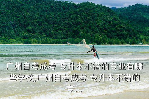 廣州自考成考 專升本不錯的專業(yè)有哪些學校,廣州自考成考 專升本不錯的專...