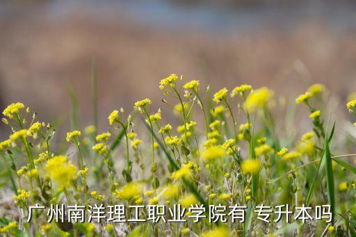 校內(nèi)專升本廣州,校內(nèi)的專升本好還是校外的好