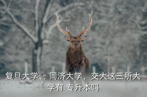 復旦大學、 同濟大學、交大這三所大學有 專升本嗎