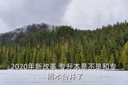 2020年新改革 專(zhuān)升本是不是和專(zhuān) 插本合并了