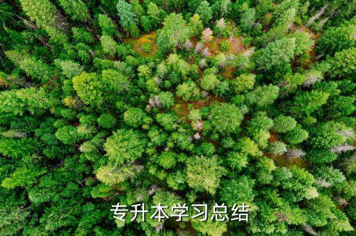 會(huì)計(jì)專升本的自我鑒定范文,專升本會(huì)計(jì)專業(yè)自我鑒定200字左右