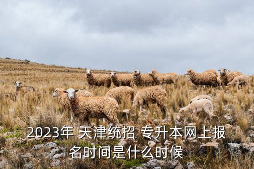 2023年 天津統(tǒng)招 專(zhuān)升本網(wǎng)上報(bào)名時(shí)間是什么時(shí)候