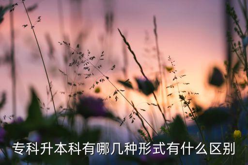 ?？粕究朴心膸追N形式有什么區(qū)別