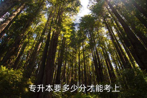  專(zhuān)升本要多少分才能考上