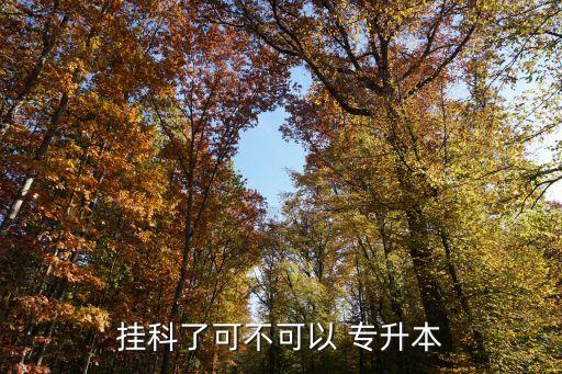 掛科了可不可以 專(zhuān)升本