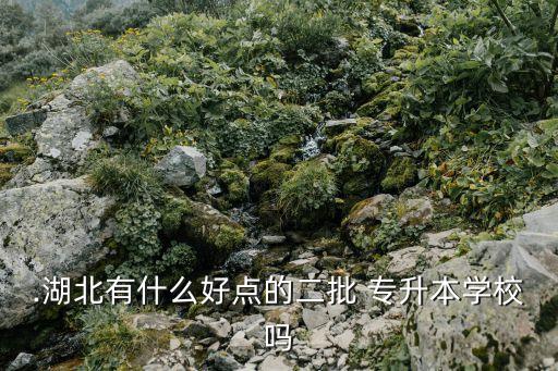 湖北省的哪些大學可以專升本