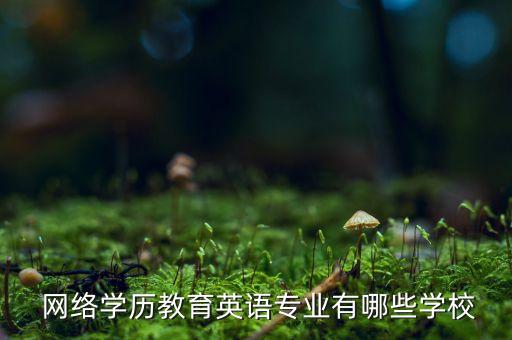  網(wǎng)絡(luò)學歷教育英語專業(yè)有哪些學校