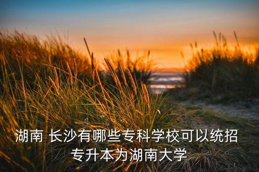 湖南 長(zhǎng)沙有哪些?？茖W(xué)?？梢越y(tǒng)招 專升本為湖南大學(xué)