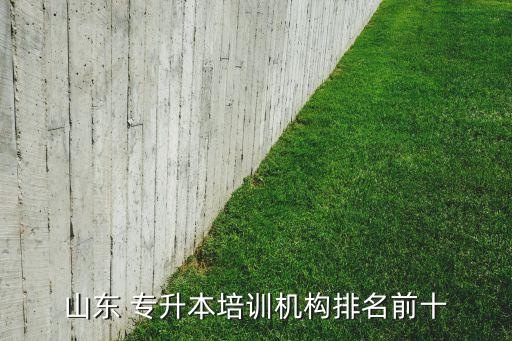 山東 專升本培訓機構排名前十