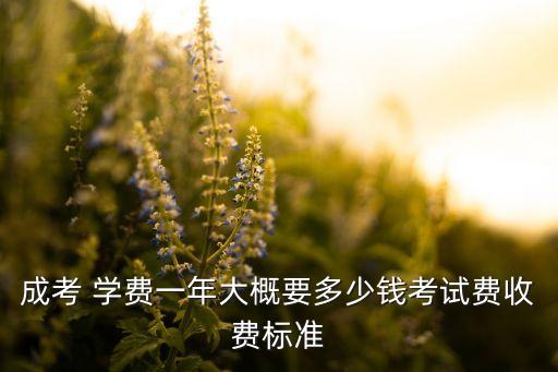 成考 學(xué)費一年大概要多少錢考試費收費標準
