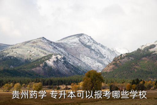  貴州藥學(xué) 專(zhuān)升本可以報(bào)考哪些學(xué)校