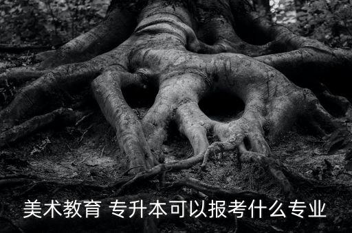 美術(shù)教育 專升本可以報考什么專業(yè)