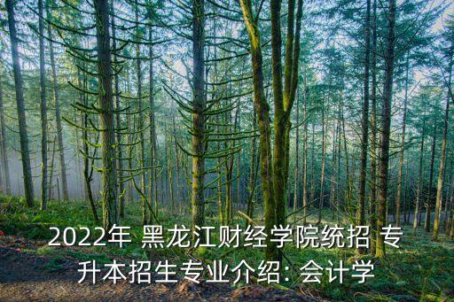 2022年 黑龍江財(cái)經(jīng)學(xué)院統(tǒng)招 專升本招生專業(yè)介紹: 會(huì)計(jì)學(xué)