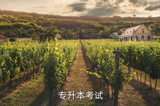 專升本考試